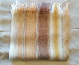 12091313_739395626164545_5585520034950711153_o